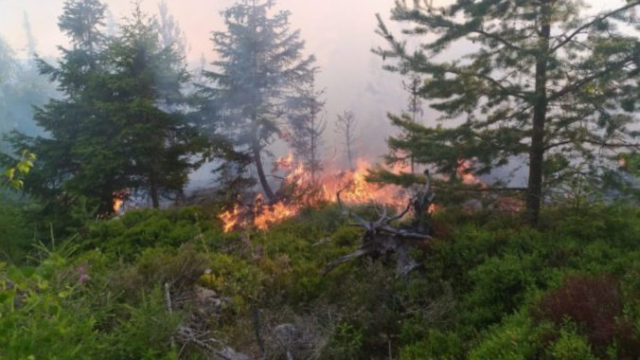 489364_snimka obrazovky 2022 07 20 214333 676x491.jpg