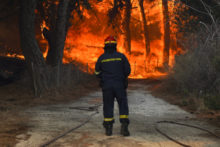 489608_greece_wildfires_83407 23a76d4ce2ca41768676f2ff801389ad 676x451.jpg