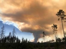 489658_295455905_10160376009303698_4167773551529565671_n 676x507.jpg