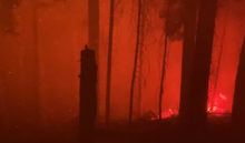 489719_snimka obrazovky 2022 07 27 094322 676x397.jpg