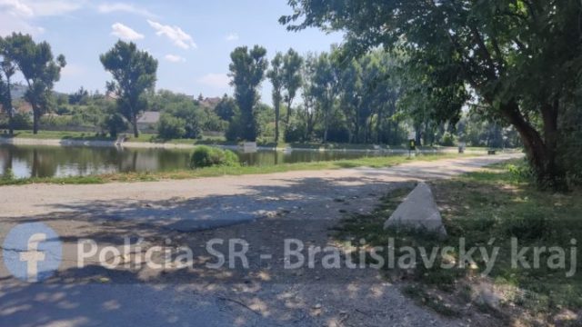 489840_policia utok psa bratislava 676x519.jpg