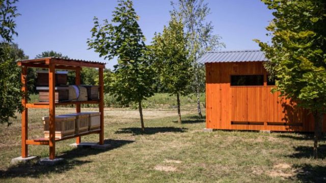 490245_zivy vcelarsky skanzen kosicky kraj moravany 676x451.jpg