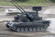 490304_gepard 676x461.jpg