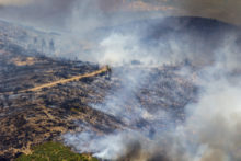 491032_spain_wildfires_68350 46a824af81ac40039b7ed31f74b287f7 676x451.jpg