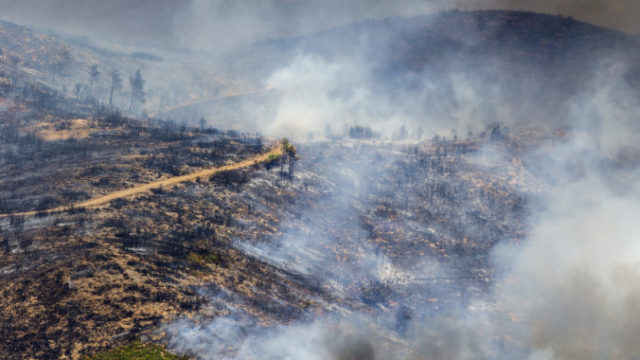 491032_spain_wildfires_68350 46a824af81ac40039b7ed31f74b287f7 676x451.jpg