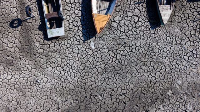 491222_hungary_drought_21207 6d6db3888f2e4a3cb7b5f6d6a3e56284 676x451.jpg