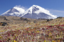 491769_gettyimages 615595998 676x451.jpg