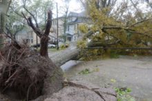 493070_tropical_weather_canada__40115 96a3c6e38dab416ca2694713152c53d3 676x451.jpg