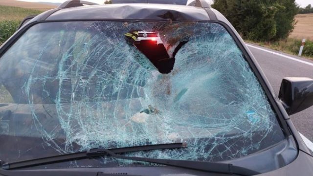 493729_nehoda zver policia 676x381.jpg