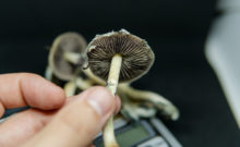 494737_gettyimages 1263005971 676x415.jpg