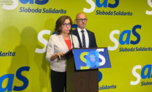 495206_sas 676x408.jpg