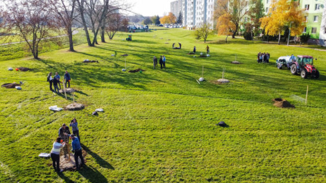 495925_dji_0621 676x507.jpg