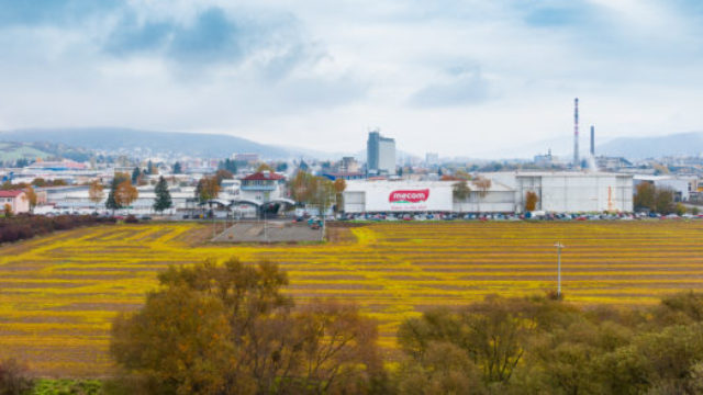 496211_humenne 1 676x294.jpg
