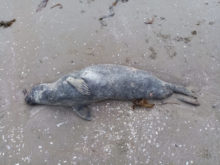 496874_gettyimages 1423397491 676x507.jpg