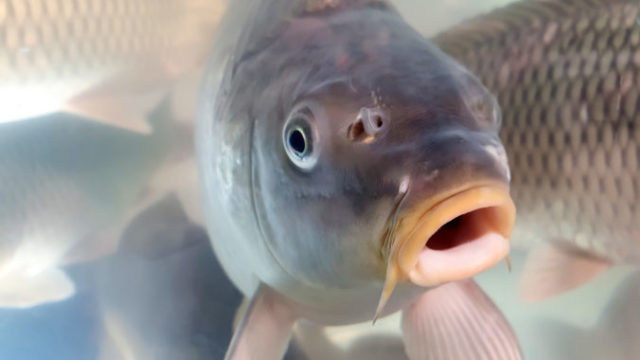 497348_gettyimages 1329908899 676x507.jpg