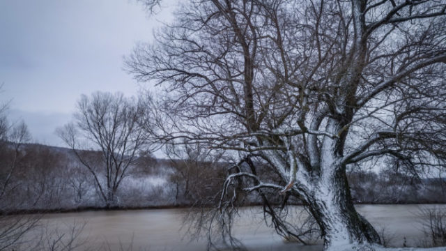 498948_gettyimages 1453943122 676x507.jpg