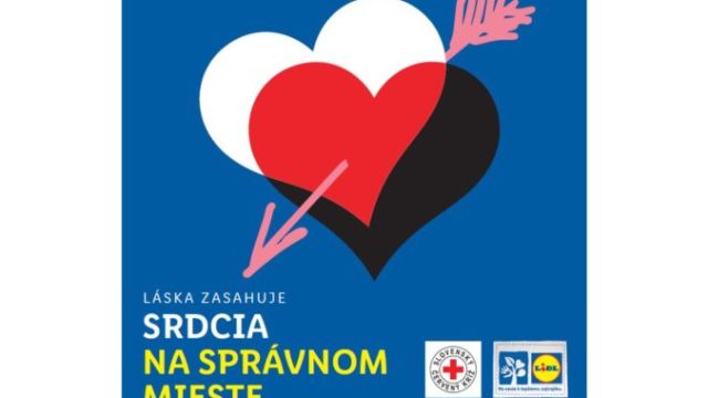 499933_novy projekt 3 676x444.jpg