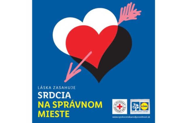 499933_novy projekt 3 676x444.jpg