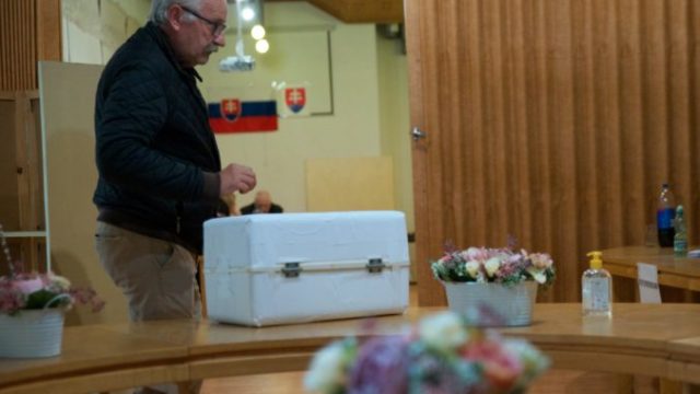 499988_3 5 676x451.jpg