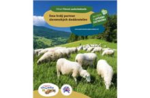 500582_novy projekt 5.jpg