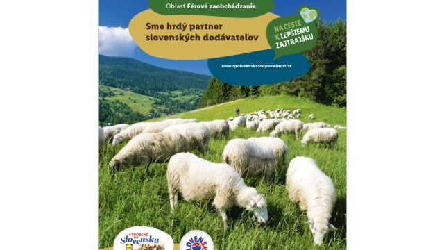 500582_novy projekt 5.jpg