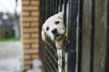 500624_gettyimages 528982347 676x451.jpg