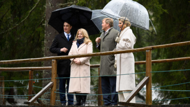 501326_6409ea53e5bee314772445 676x450.jpg