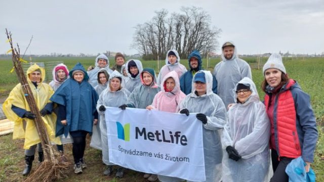 503120_1_stromceky metlife foto 676x507.jpg