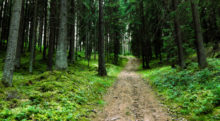 503685_gettyimages 991323734 676x372.jpg