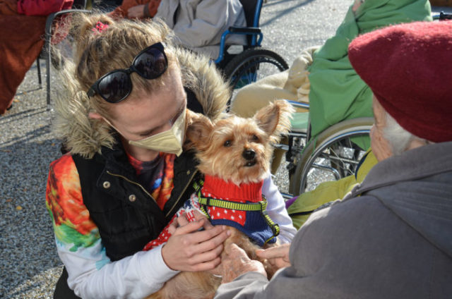504250_1 1 676x448.jpg