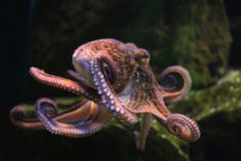 504542_gettyimages 479467014 676x451.jpg