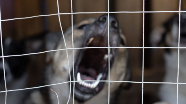 505375_gettyimages 1346918889 676x451.jpg