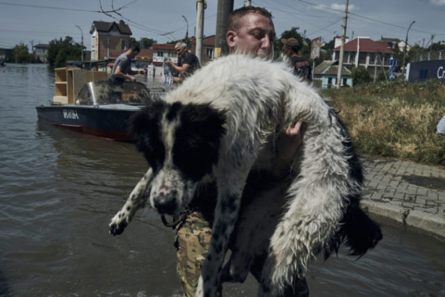 505550_russia_ukraine_war_animal_rescue_76131 676x451.jpg