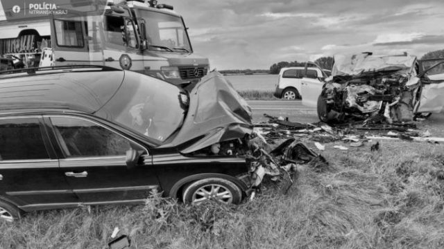 505587_353397739_637610231748191_7624031265742972743_n 1 676x381.jpg