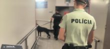 506771_policia stanica 676x304.jpg