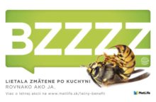 506988_novy projekt 2.jpg