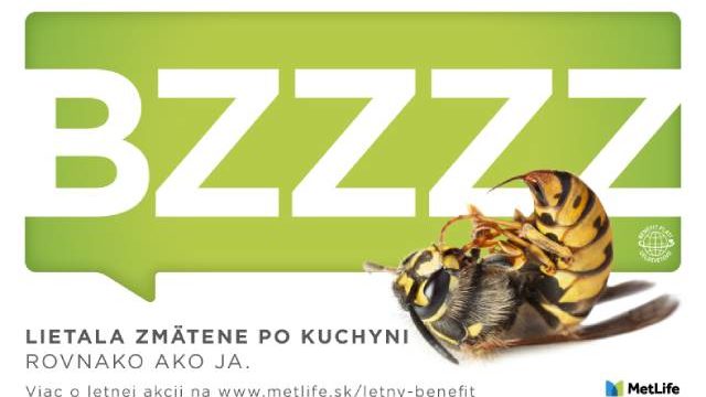 506988_novy projekt 2.jpg