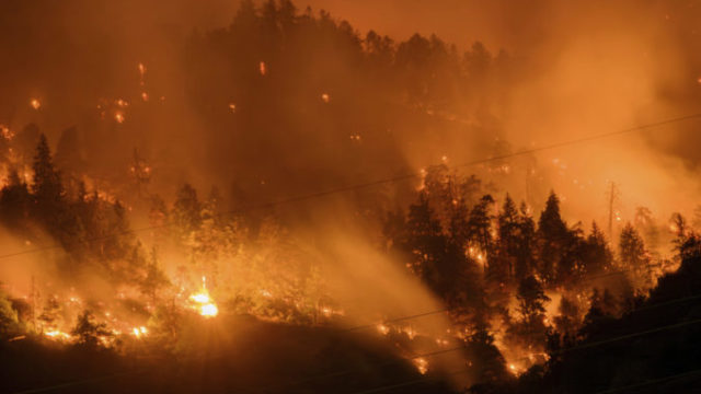 507349_switzerland_wildfires_14703 676x451.jpg