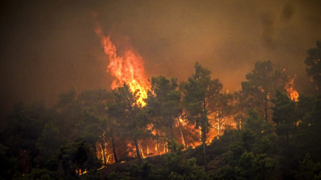 507702_greece_wildfires_04842 676x441.jpg
