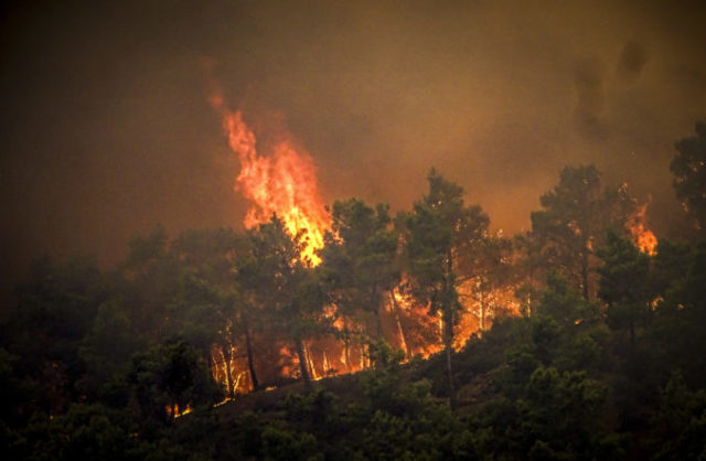 507702_greece_wildfires_04842 676x441.jpg