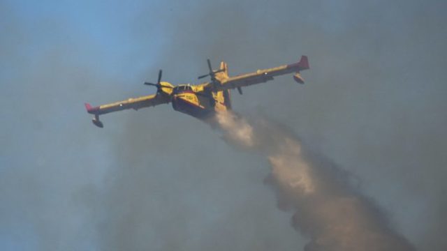 507743_greece_wildfires_21332 676x451.jpg