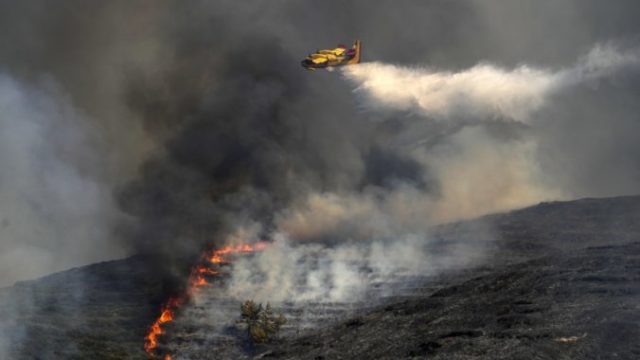 507779_greece_wildfires_91975 676x451.jpg