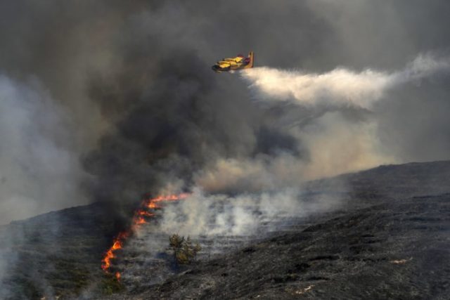 507779_greece_wildfires_91975 676x451.jpg