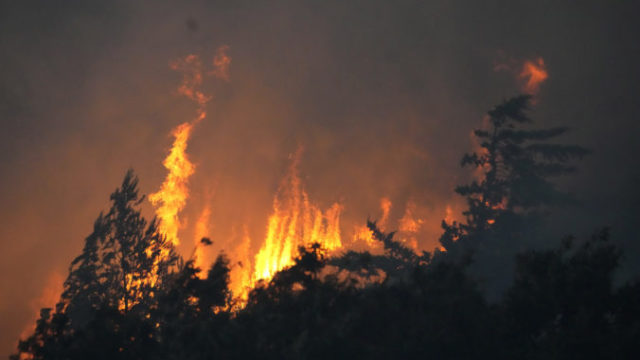 507790_portugal_fire_92572 676x451.jpg