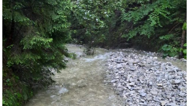 508304_rajtit 676x451.jpg