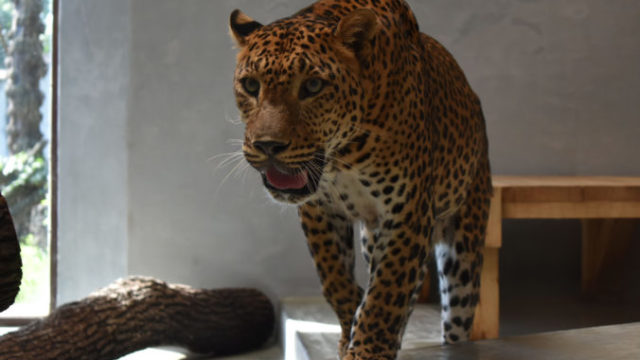 509346_64e882434090f364027498 1 676x451.jpg