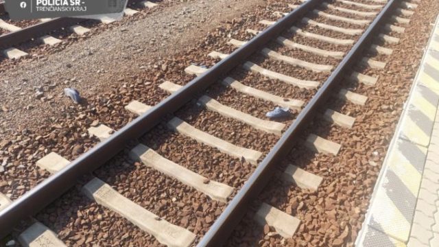 509348_369842279_675748731253529_8013193634229565382_n 676x401.jpg