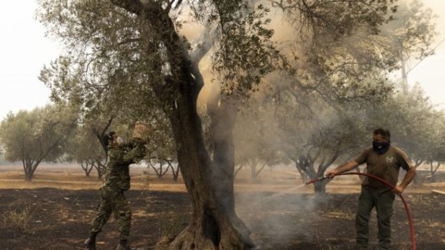 509376_greece_wildfires_09553 676x451.jpg