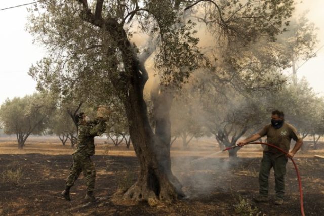 509376_greece_wildfires_09553 676x451.jpg