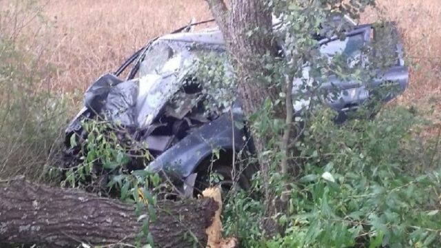 510909_381015714_706253518211399_3409232042046581684_n 676x451.jpg